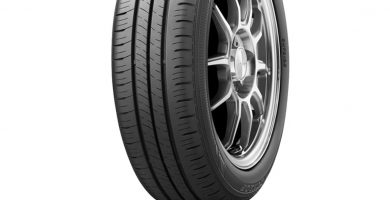 DUNLOP ENASAVE EC300