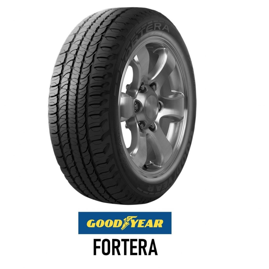 FORTERA GOODYEAR