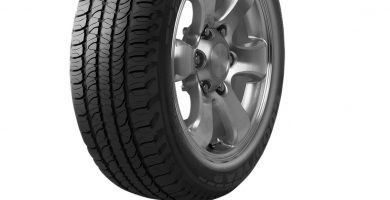 FORTERA GOODYEAR