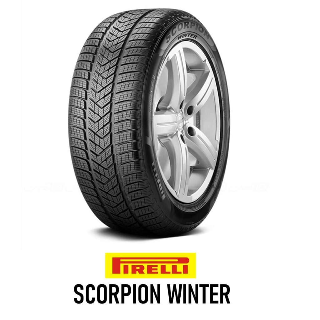 scorpion winter